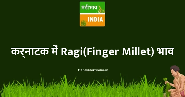 Ragi(Finger Millet) भाव